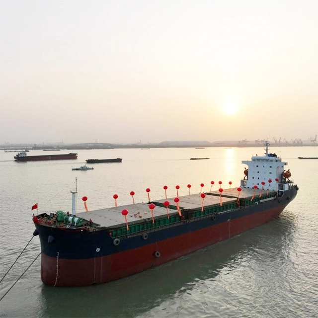 Vraquier personnalisé à double coque avec grue 